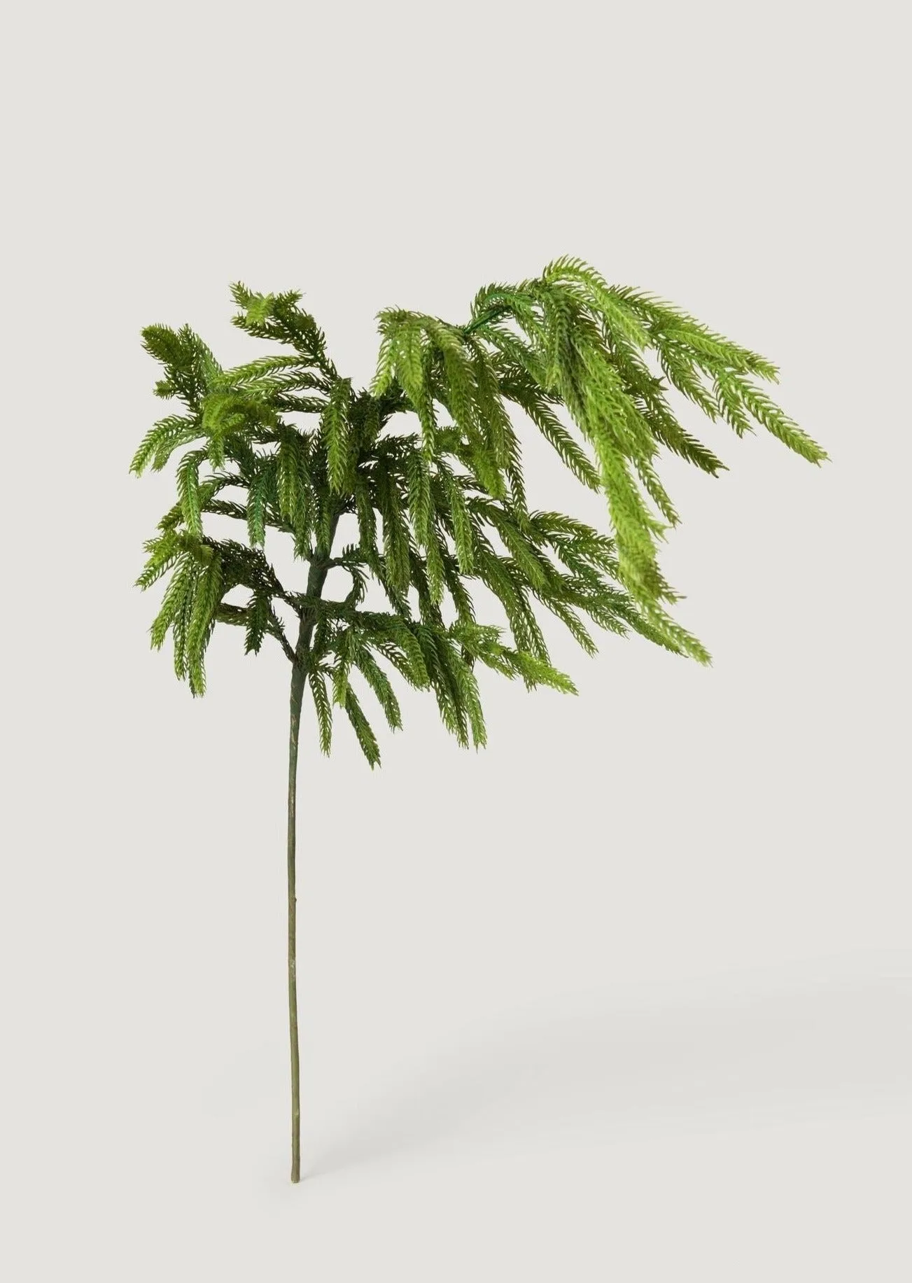 Afloral Real Touch Norfolk Pine Branch - 36"