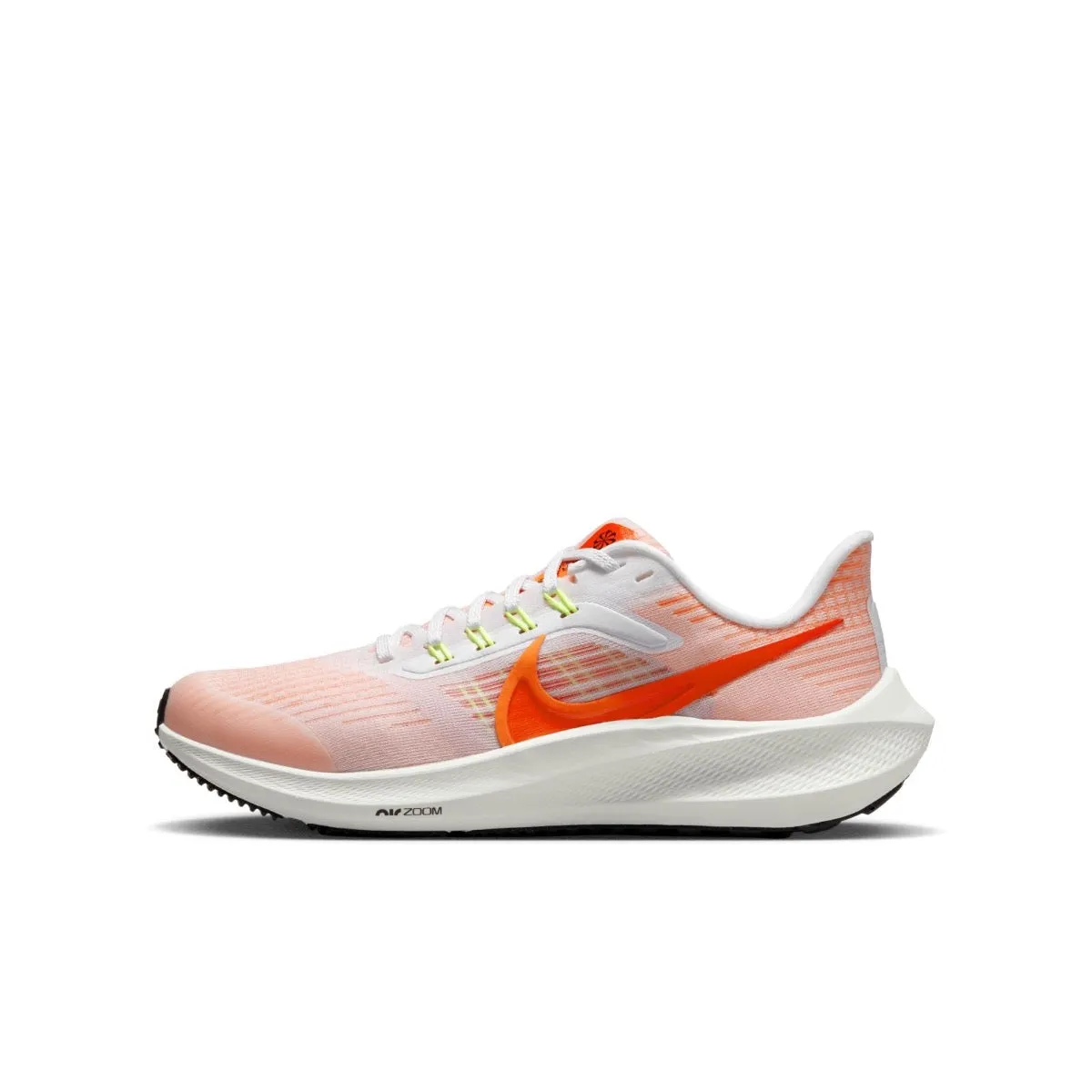 Air Zoom Pegasus 39