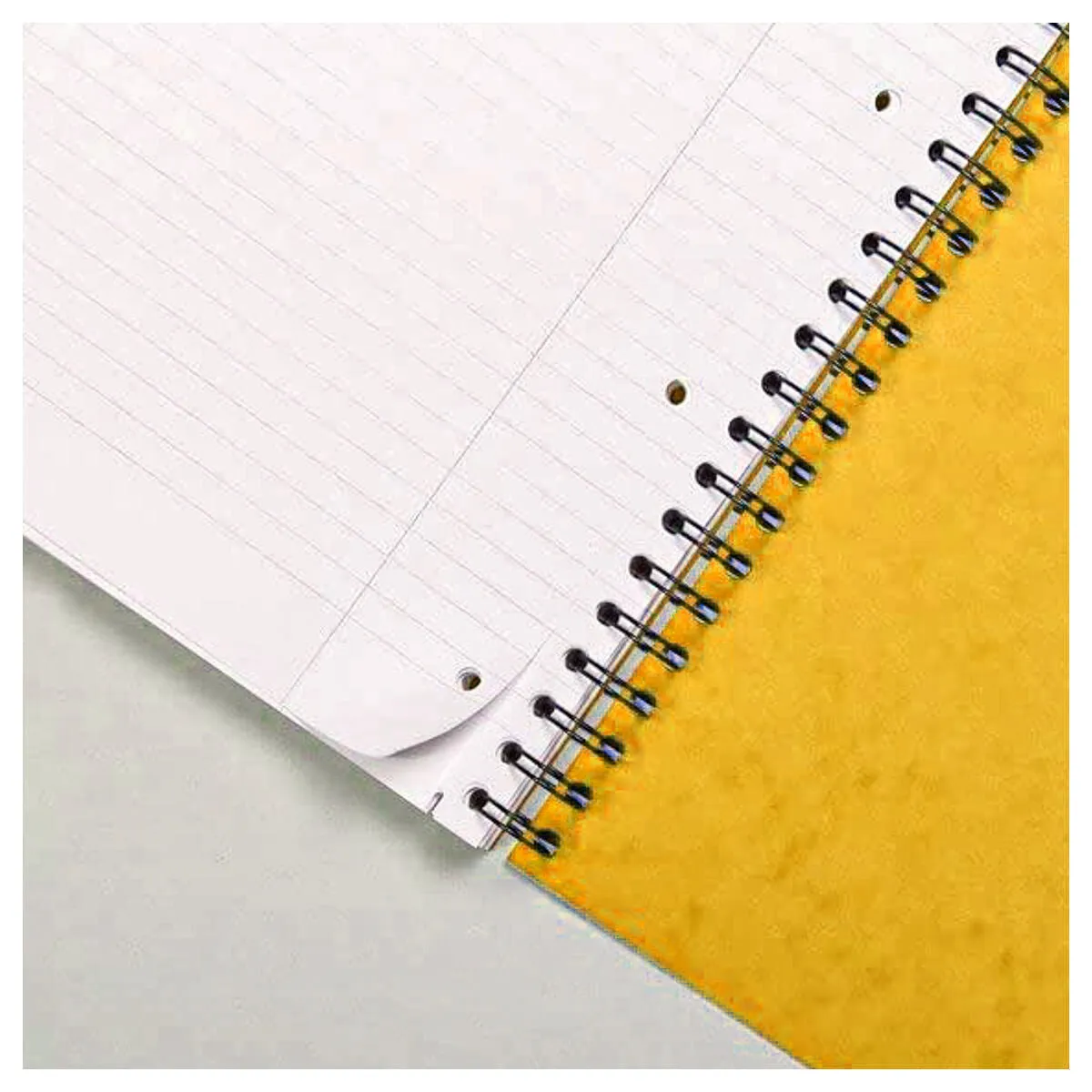 Clairefontaine Europa A4 Notemaker Plus 240 Yellow Notebook