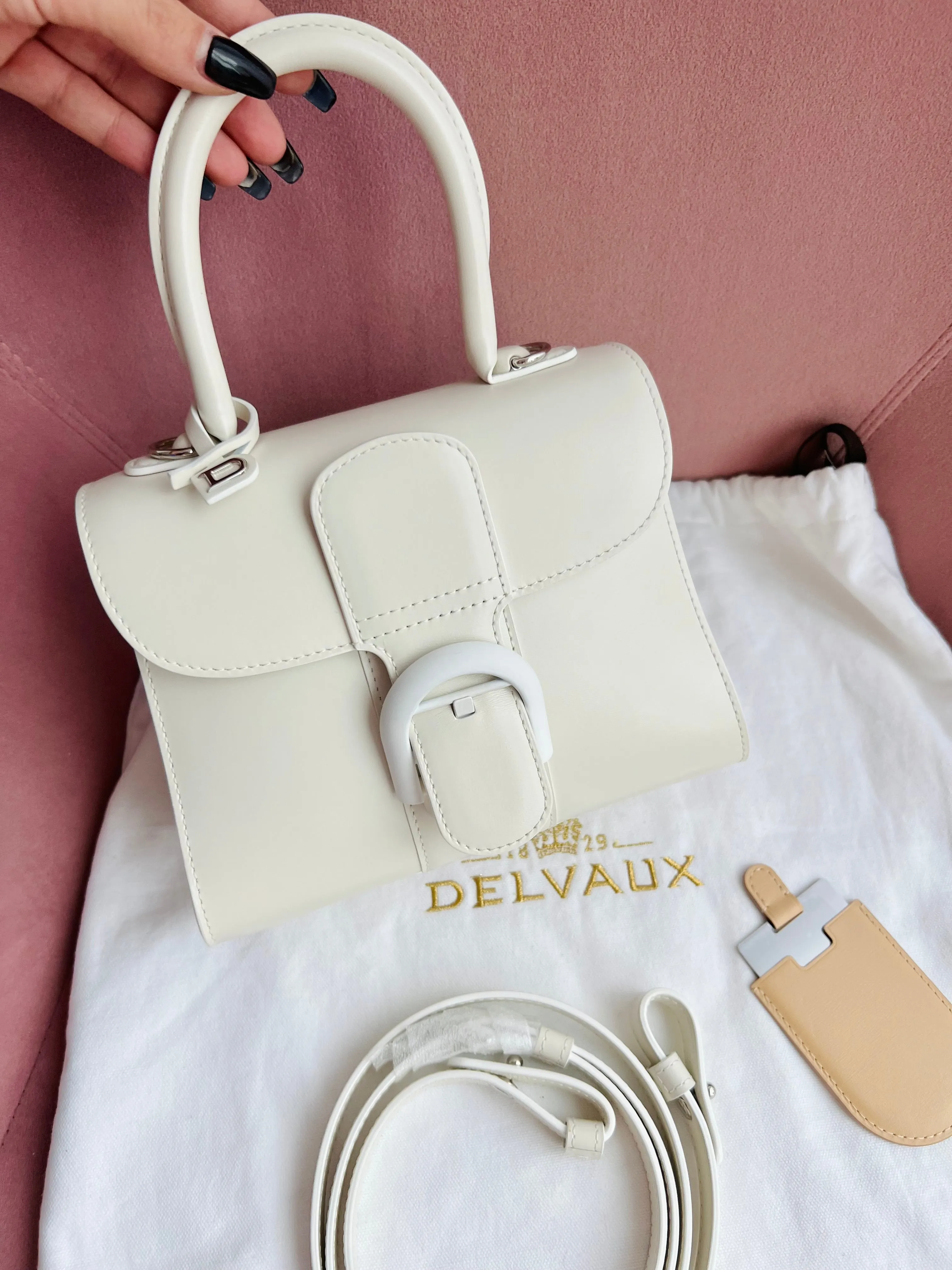 Delvaux Brilliant Bag