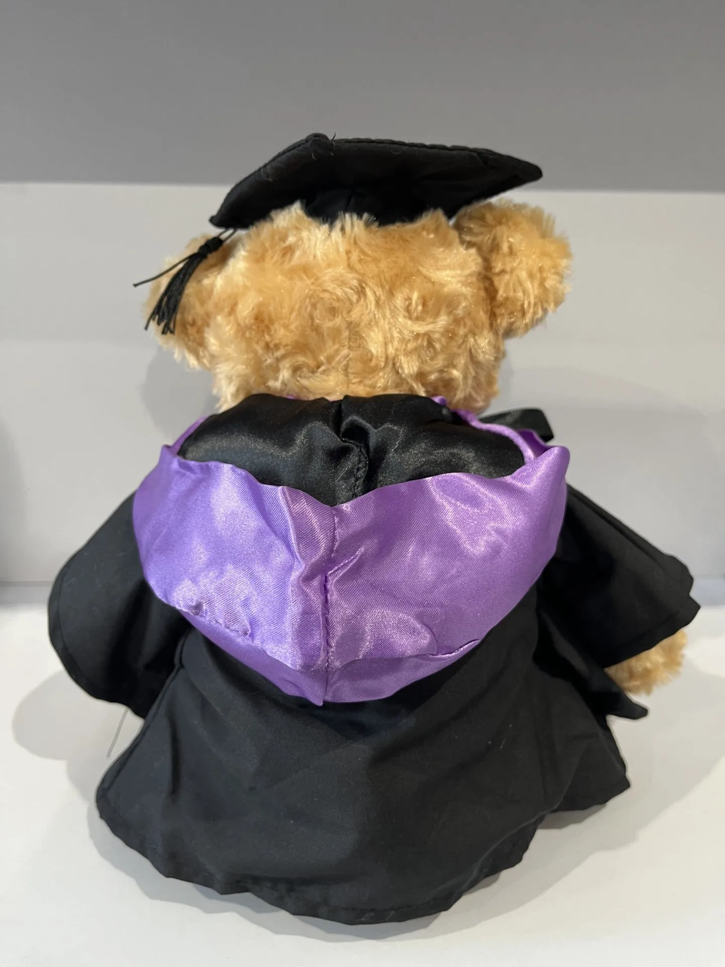 Graduation Bear Coloured Hood