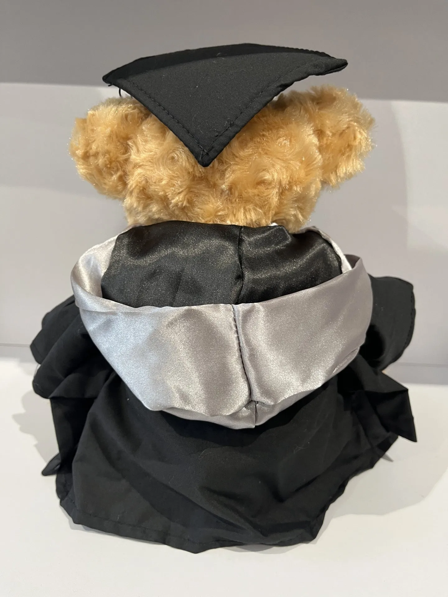 Graduation Bear Coloured Hood