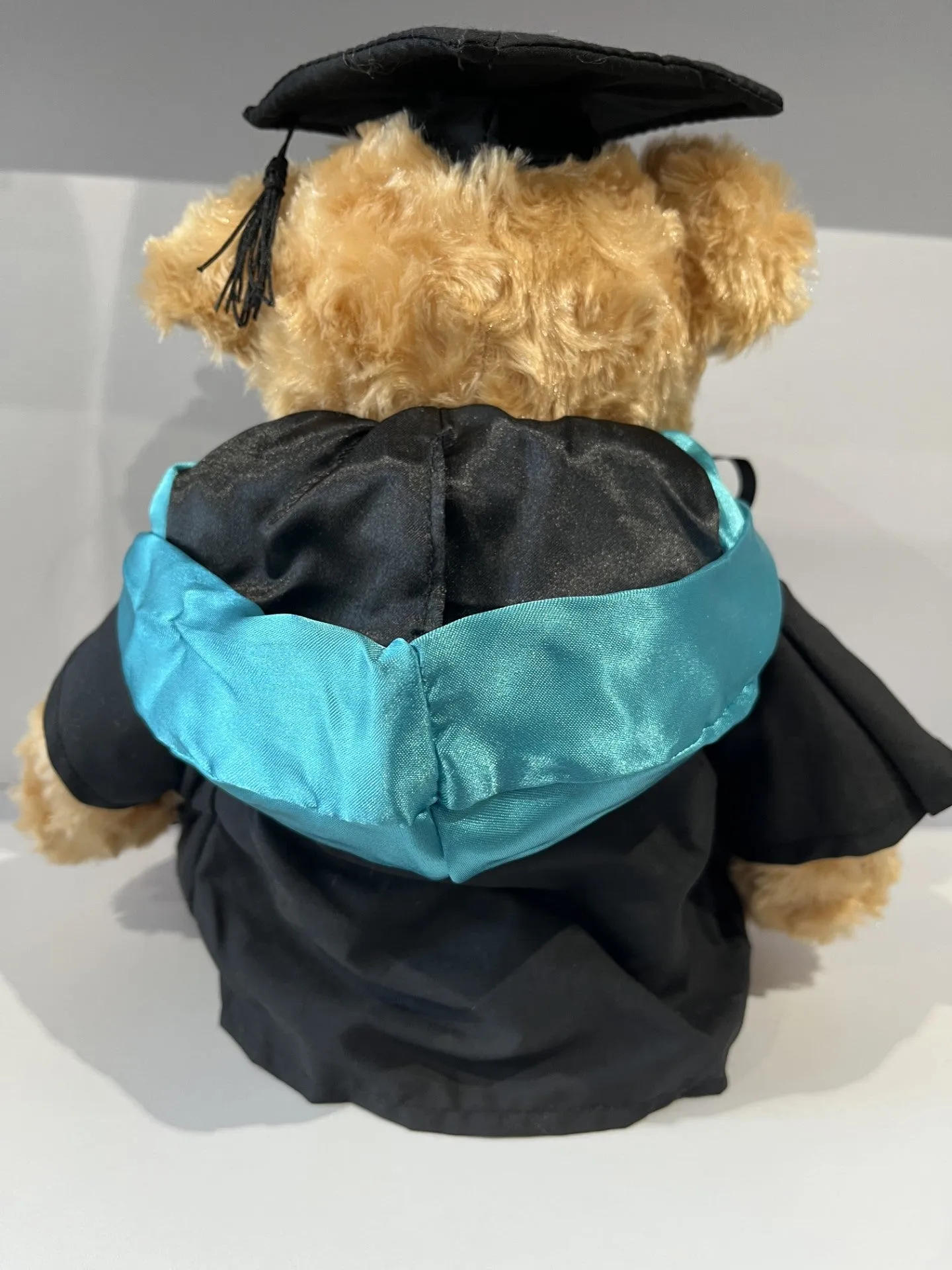 Graduation Bear Coloured Hood