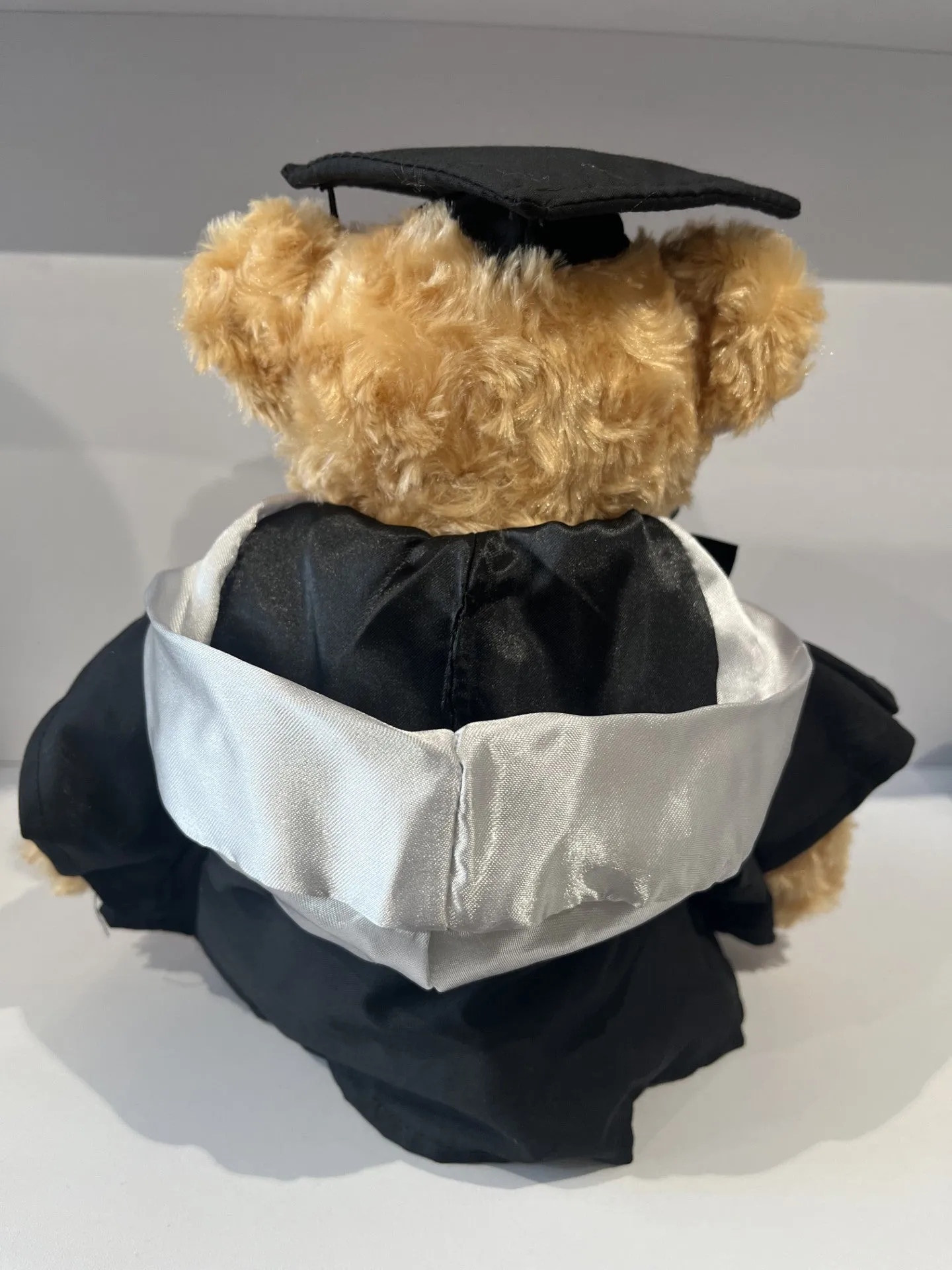 Graduation Bear Coloured Hood