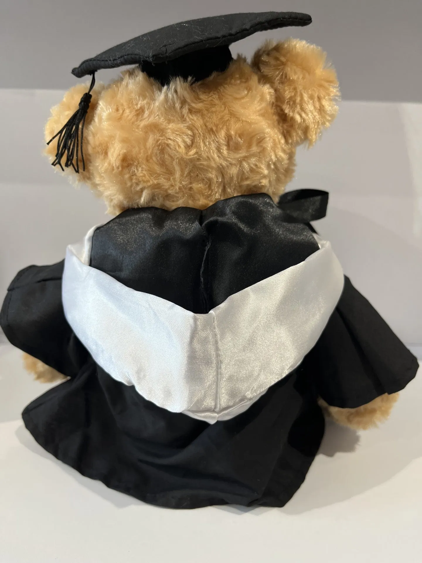 Graduation Bear Coloured Hood