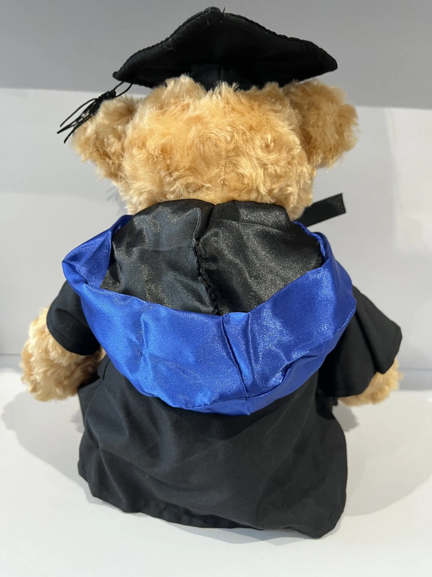 Graduation Bear Coloured Hood