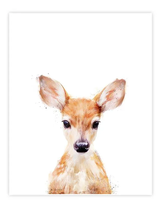 Little Deer