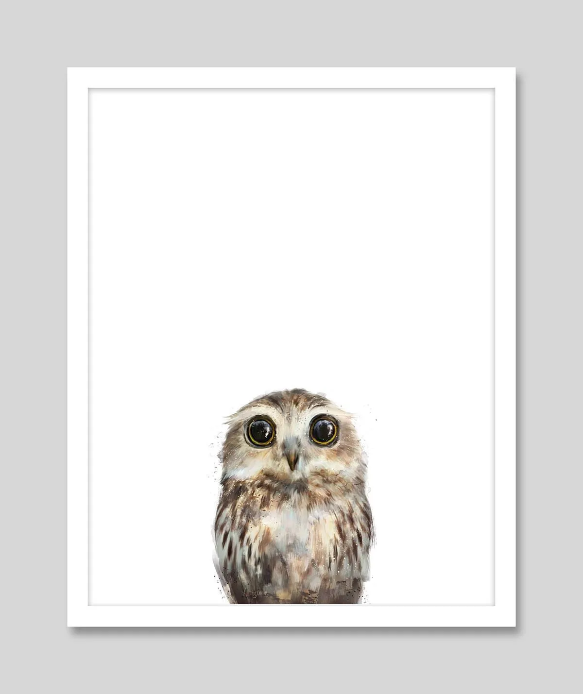 Little Owl