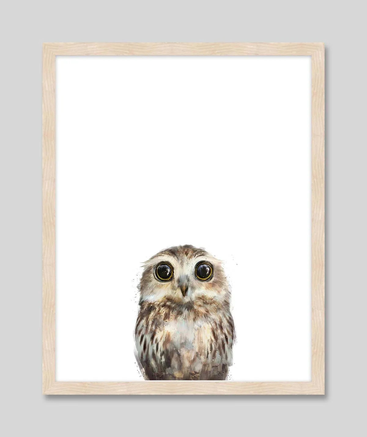 Little Owl