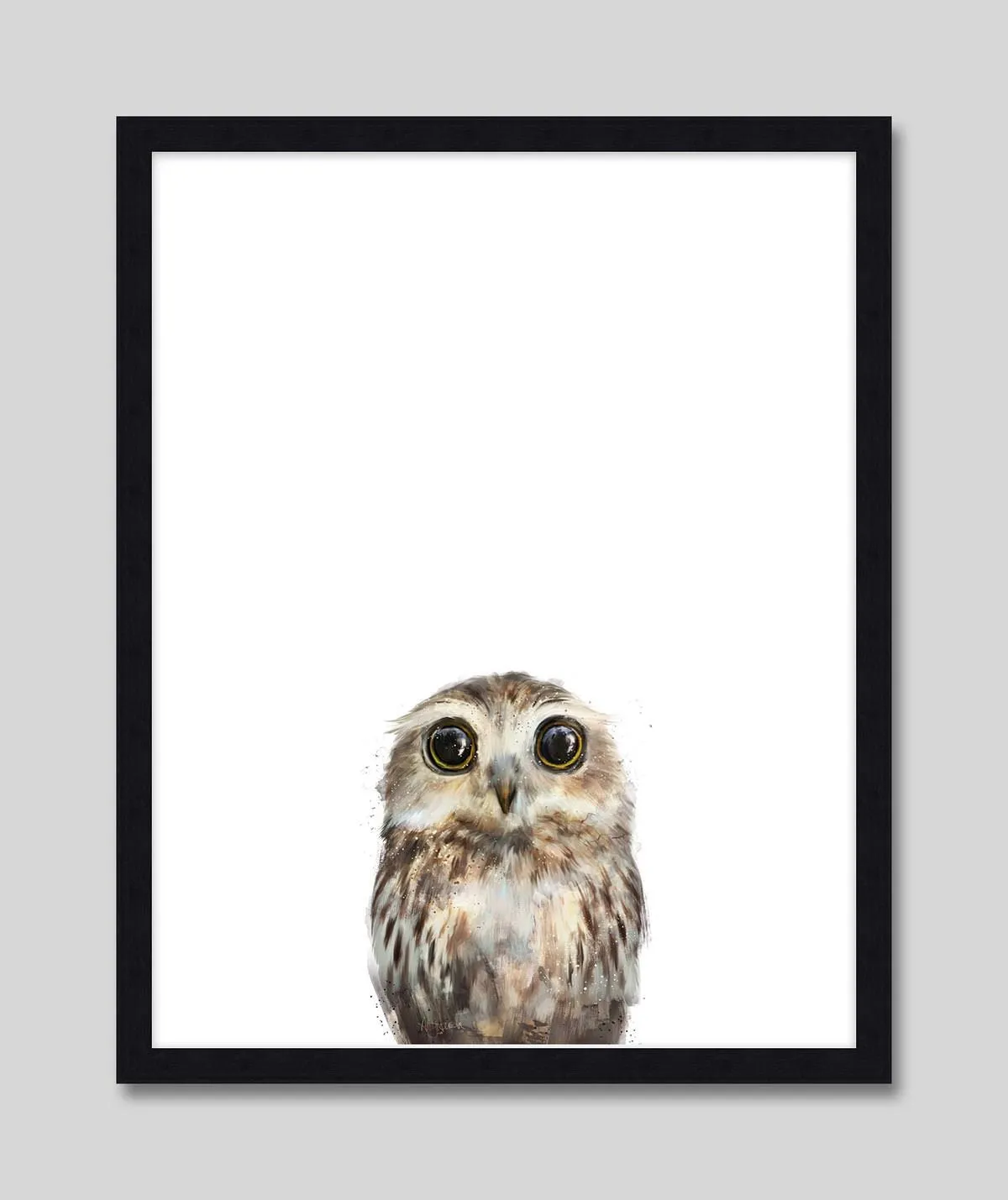 Little Owl