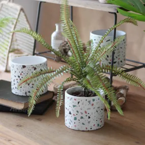 Terrazzo Pattern Plant Pots - Set of 4