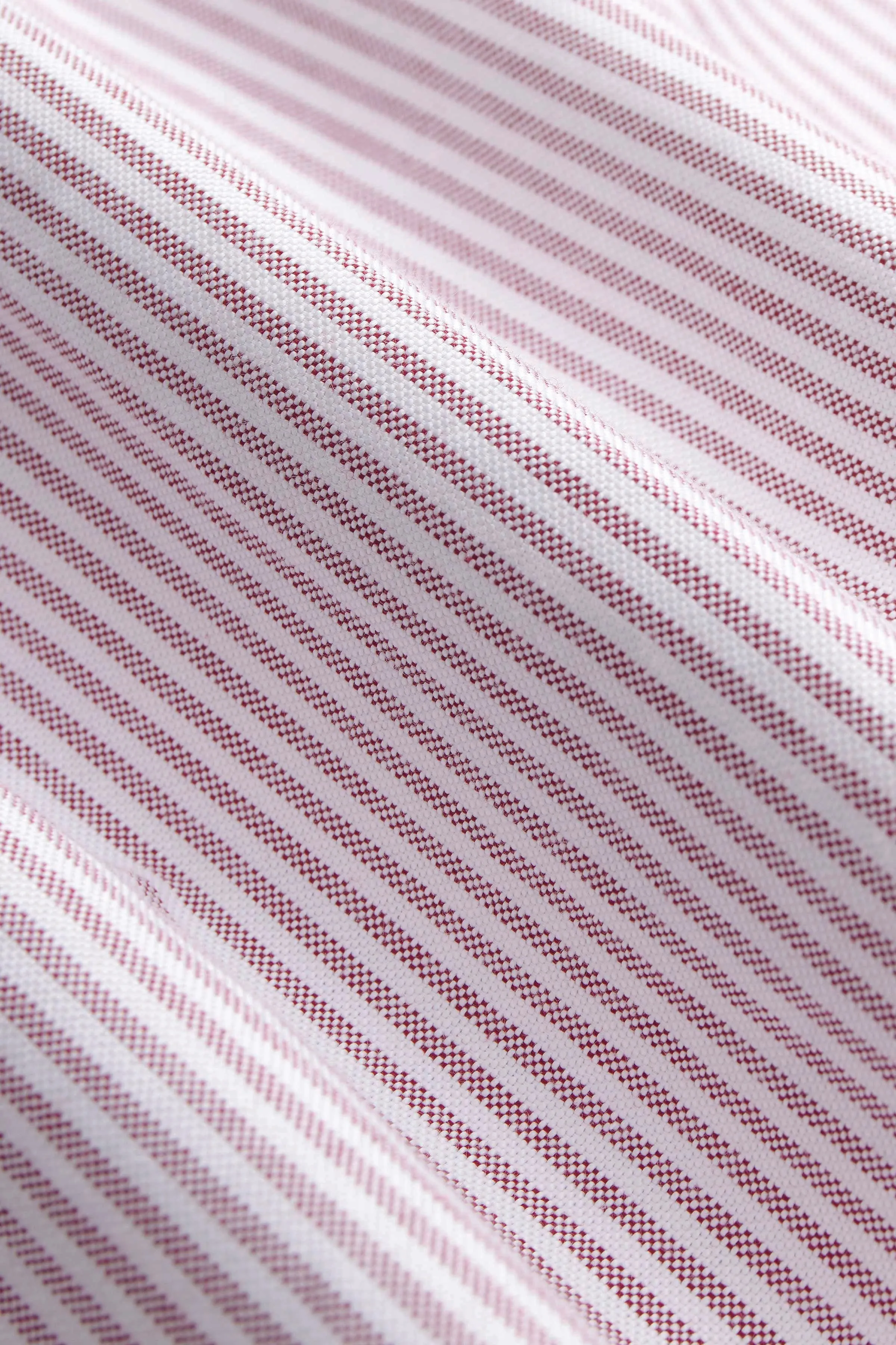 The Standard Issue Oxford, Red Stripe